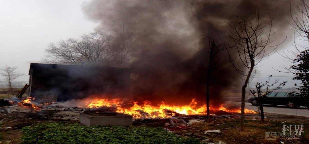 Fp8pejO8Cbx38_dAI4ZewCb-sngf